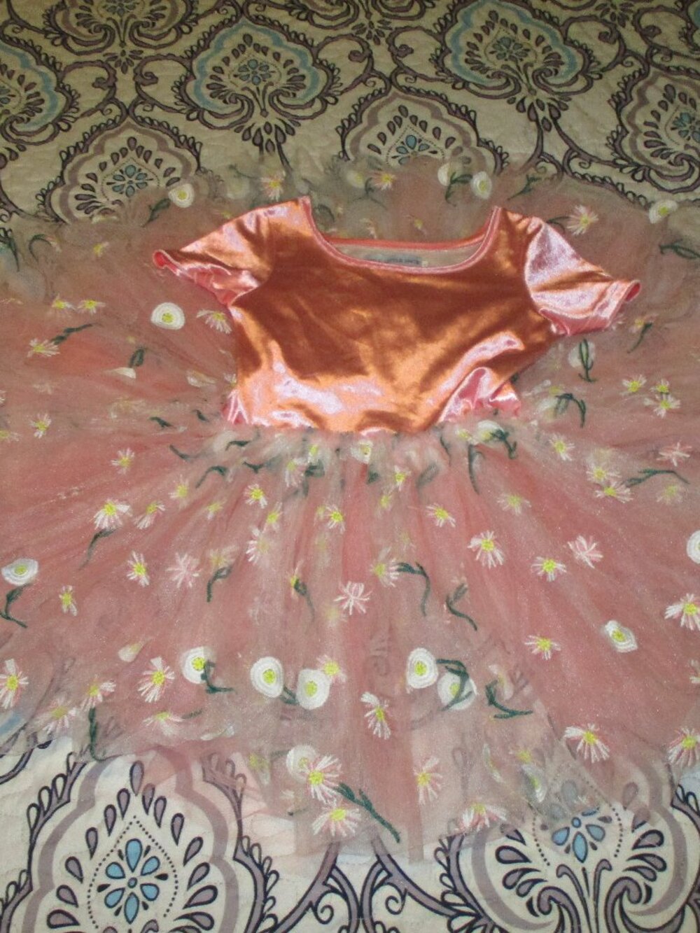 Only Little Once Pink Velvet Dress with Daisy Tulle Skirt size 6/7